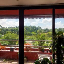 Cairnhill Astoria (D9), Apartment #484679831